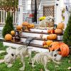 1pc 20.47 Inch Artificial White Dog Skeleton Simulation Simple Model Suitable For Halloween Decoration Indoor And Outdoor Decoration Christmas