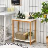 23 Inch Height 2-tier End Table with Bamboo Frame and Bottom Shelf