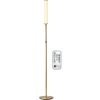 LED Cylinder Floor Lamp with Remote Control, Full Range Dimming, Adjustable Color Temperature 3000K-6000K, Minimalist Standing