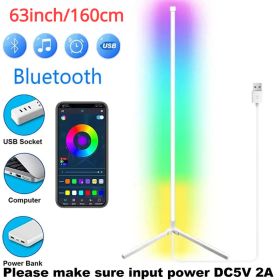 Nordic Floor Lamp for Bedroom Living Room Bluetooth Wifi Rgb Led Lights with Remote Modern Home Decor Bedside Tuya Standing Lamp (Color: 160cm, Lampshade Color: Bluetooth-White)