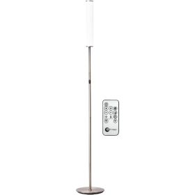 LED Cylinder Floor Lamp with Remote Control, Full Range Dimming, Adjustable Color Temperature 3000K-6000K, Minimalist Standing (Lampshade Color: Brushed Nickel)