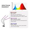 Top LED Grow Light,6000K Full Spectrum Clip Plant Growing Lamp with White Red LEDs for Indoor Plants,5-Level Dimmable,Auto On Off Timing 4 8 12Hrs